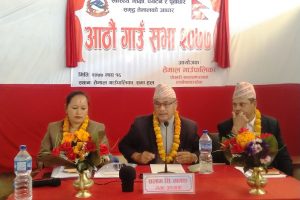 तेमाल गापाको आठौं गाउँसभाले कुन कुन योजनाहरु संशोधन गर्यो ? संशोधित योजनाहरु यस्ता छन्  :