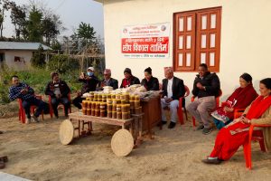नमोबुद्धमा सीप विकास तालिम