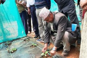 तेमालका जनप्रतिनिधिद्धारा सिप्रेड कृषि परियोजनाको प्रसंशा