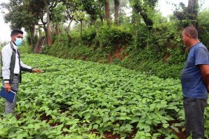 तेमालमा सिप्रेडको कृषि परियोजनाबारे चर्चा
