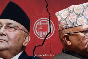 माधव नेपालले सक्लान् एमाले फुटाउन? दल र केन्द्रीय समितिको हिसाब यस्तो छ :