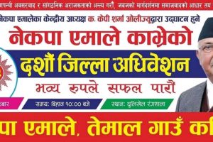 हजारौं तेमाले एमालेहरुको र्याली धुलिखेल अस्पताल चोकबाट हुने