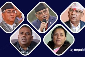 गठबन्धनमा कांग्रेस हावी,महानगरसहित ४ उपमहानगर ‘नाफा’,अरु दलको पोल्टामा कति ?