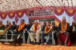 संविधान संशोधनका लागि कार्यदलले आन्तरिक रूपमा काम गरिरहेको छ:उपप्रधानमन्त्री