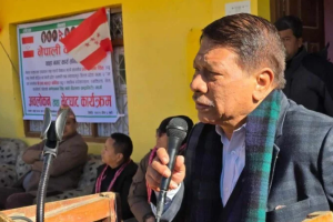 राजनीतिक स्थीरता र स्थायीत्वका लागि अहिलेको सरकार : उपप्रधानमन्त्री सिंह