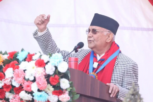 ”सरकार अहिले ढल्यो,भरे ढल्यो भनेर छाति पिट्नु र बिलौना गर्नुको कुनै विकल्प छैन”