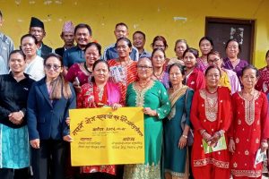 तेमाल चुखामा नसर्ने रोग सम्बन्धी गोष्ठि सम्पन्न