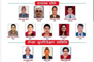 बिन्धवासिनी सहकारीको ३३ औं वार्षिक साधारणसभा : श्रेष्ठको अध्यक्षतामा नयाँ सञ्चालक समिति